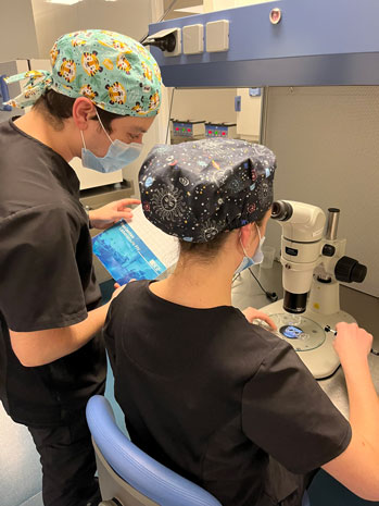 Costos de vitrificar óvulos