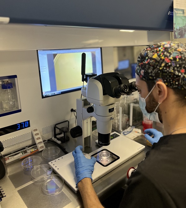 Fecundación In Vitro (FIV)