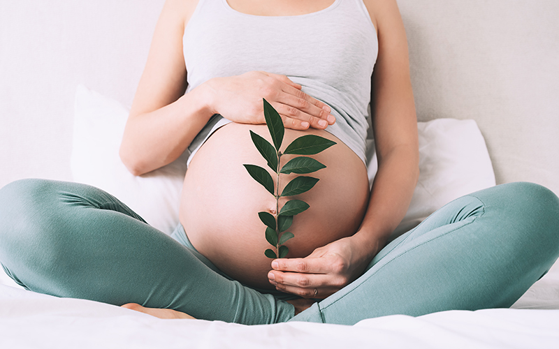 Subrogación uterina